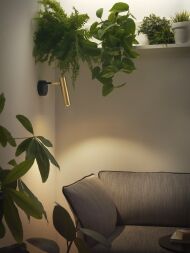 Aromas MARU_A1194 - 3