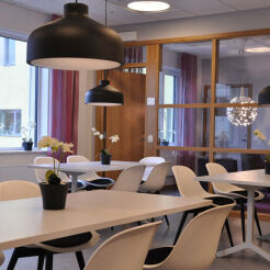 Zero Lighting LENS 450