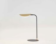 Aromas FICUS_S1243 - 2