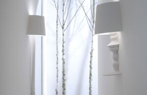 Karman Ali E Baba AP625B wall