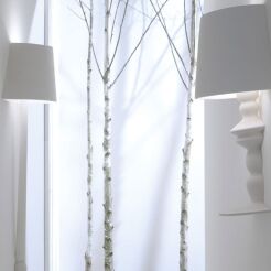 Karman Ali E Baba AP625B wall