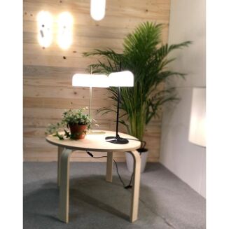 Lampa biurkowa Aromas ATIL_S1281 - 2