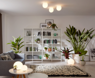 Wever & Ducre DRO natynkowa - 4