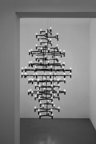 Nemo CROWN ROYAL - 2